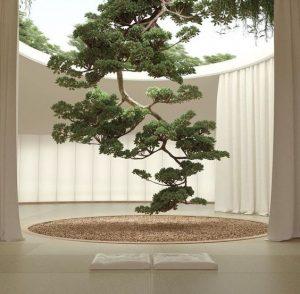 Lee más sobre el artículo La neurociencia en el diseño de interior