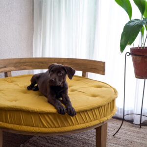 Sillón Ambar